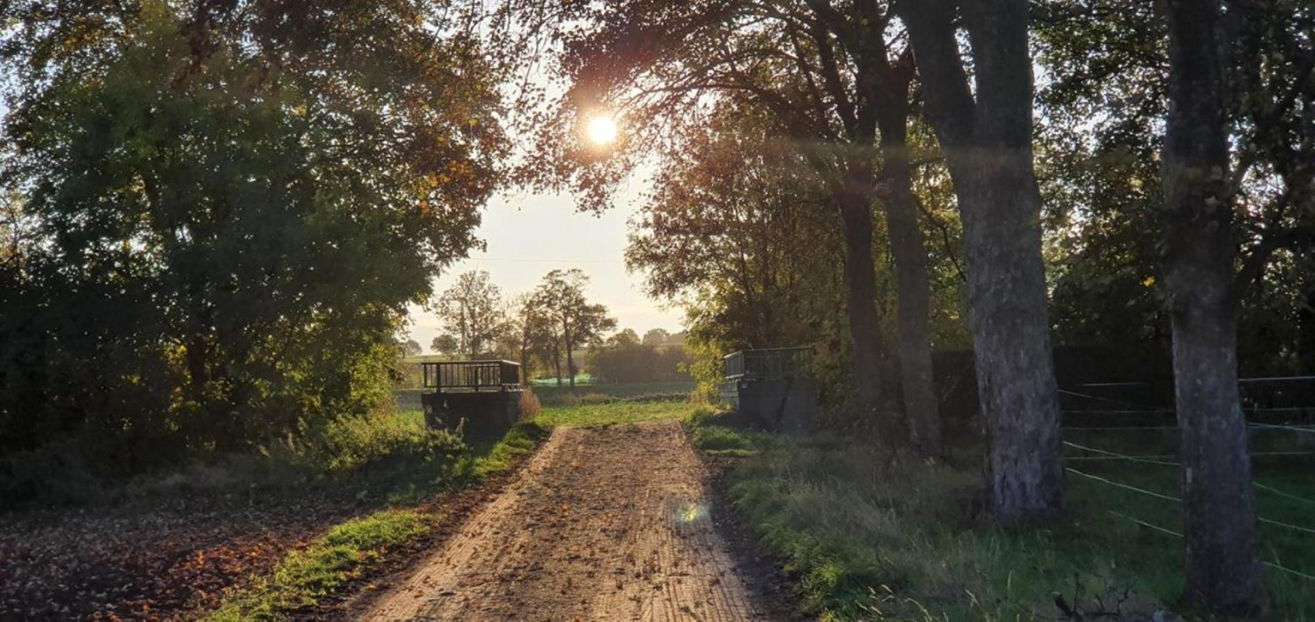 Ferienhaus Q1, Ruhe Und Erholung In Der Eifel Zulpich Exteriér fotografie